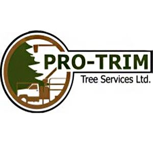 Pro-Trim Tree Services Ltd - Logo