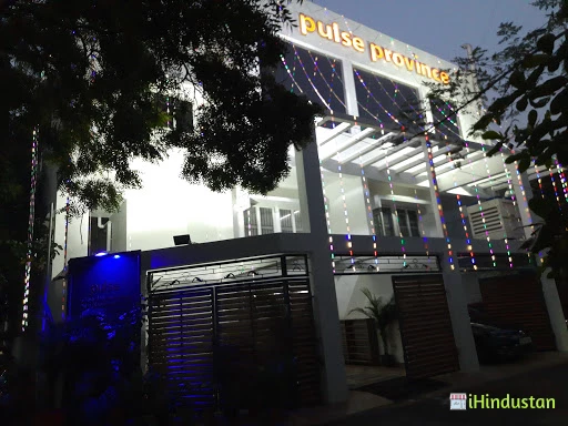 Pulse Telesystems Private Limited - Logo