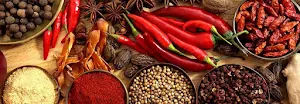 Punjabi Rasoi - Cover photo