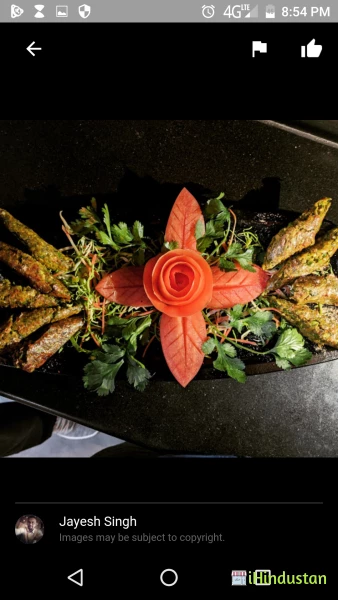 Punjabi Grill Curry and Kebabs - Logo