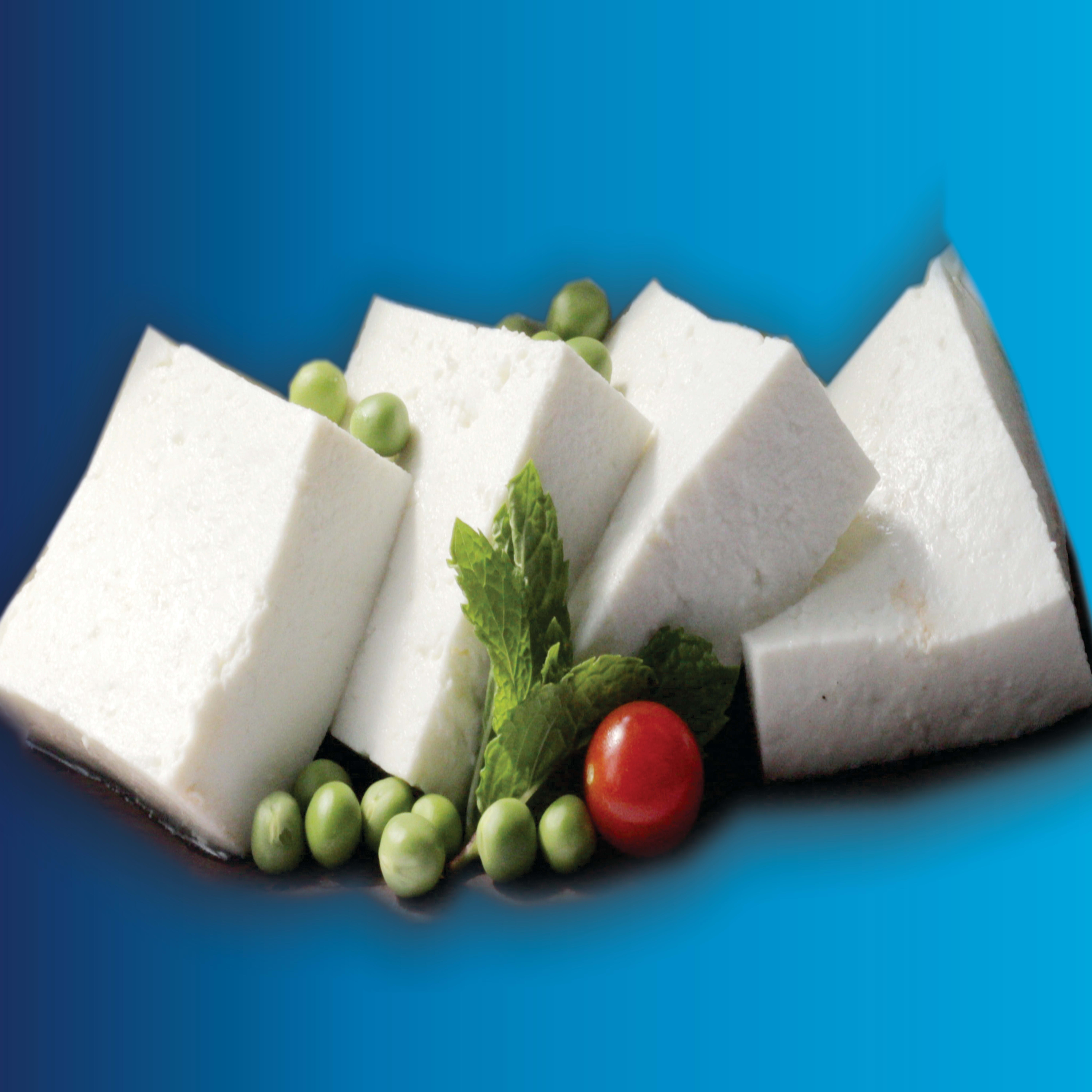 Punjabi Paneer - Logo