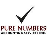 Pure Numbers Accounting Services Inc. - Logo