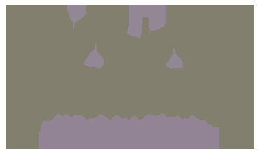 Purple Tree Wedding Photography - Logo