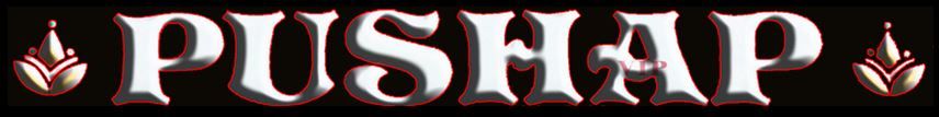 Pushap Restaurant Inc - Logo