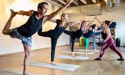 Pytric School Of Yoga - Logo