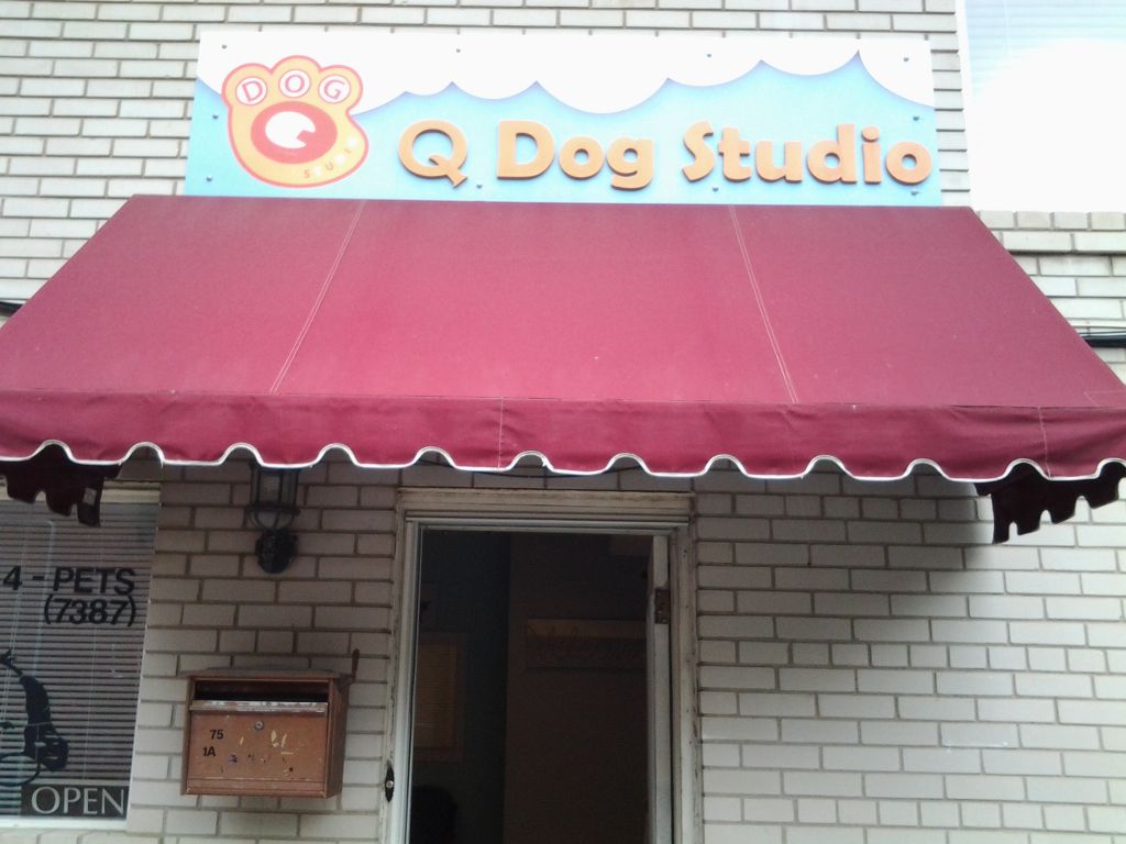 Q Dog Studio - Logo