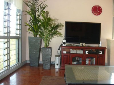 Quality Indoor Plants Hire - Logo