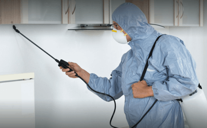 Quality pest control in gurgaon - Cover photo