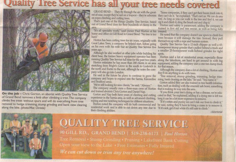 Quality Tree Service - Cover photo
