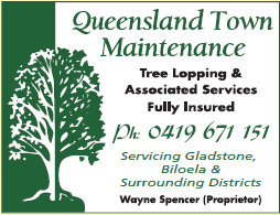 Queensland Town Maintenance - Logo
