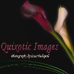 Quixotic Images - Logo