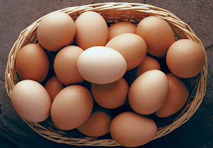 Rahul Egg Stall - Logo
