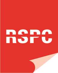 Rahul Stationers Paper Convertors 224227 - Logo