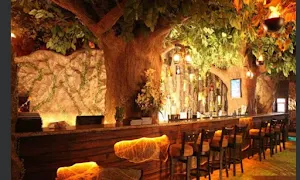 Rainforest - Cover photo