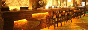Rainforest Resto-Bar - Cover photo