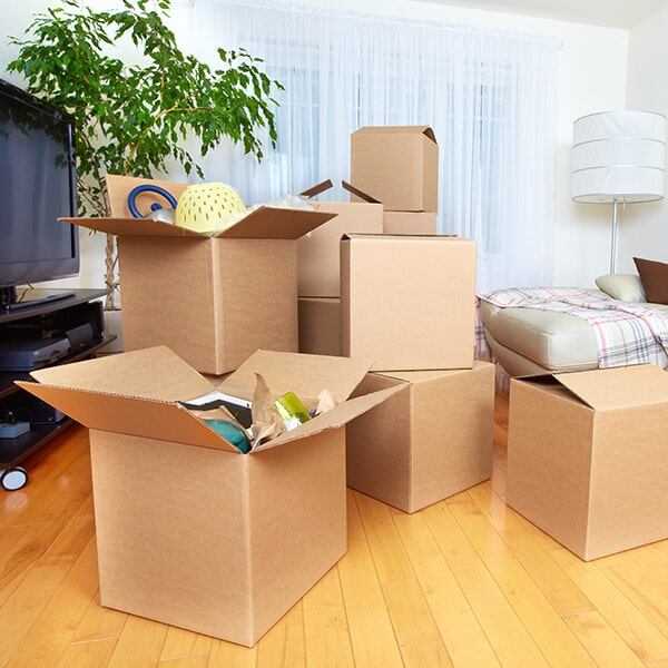 Raleigh Removals - Logo