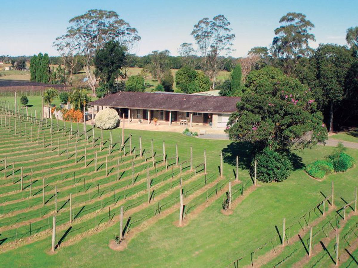 Raleigh Winery Cafe - Logo