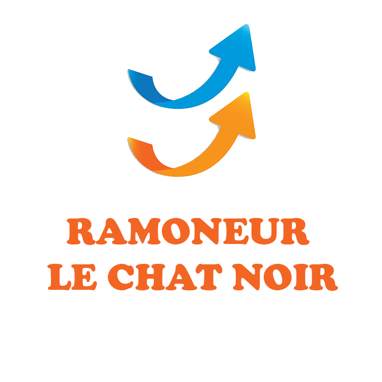 Ramoneur Le Chat Noir - Logo