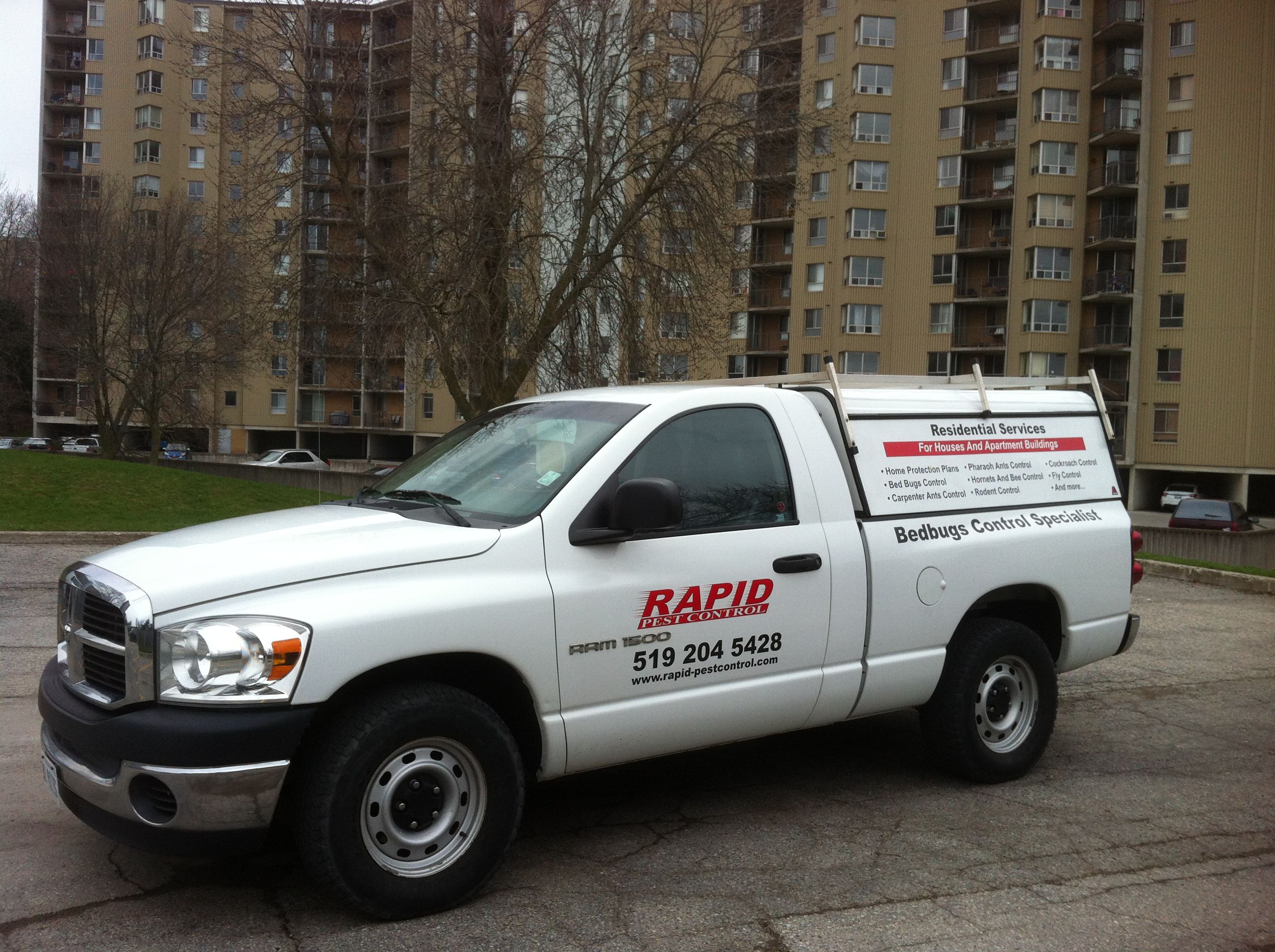 Rapid Pest Control - Logo
