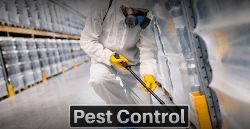 Rapid Pest Solutions - Logo