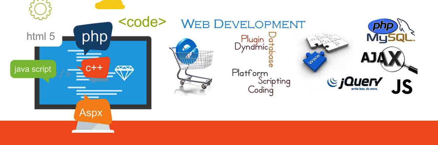 Raretag Web Designing Institute - Cover photo