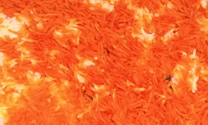 Rasheed Biryani - Cover photo