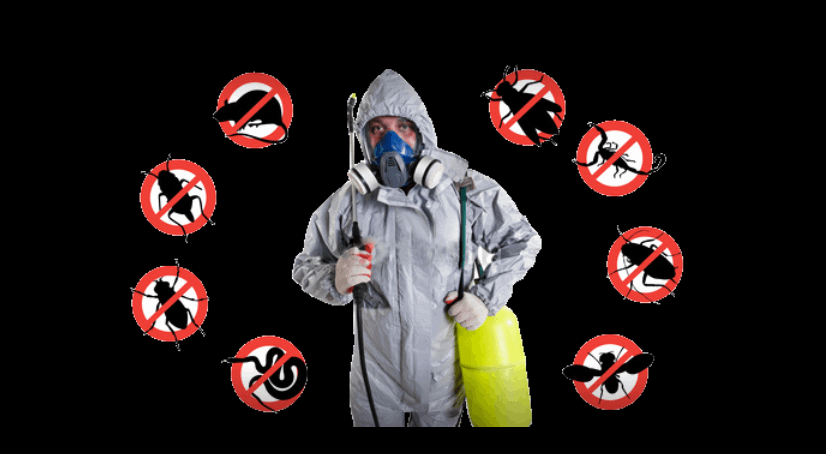 RCS CARE - PEST CONTROL SERVICES - Cover photo