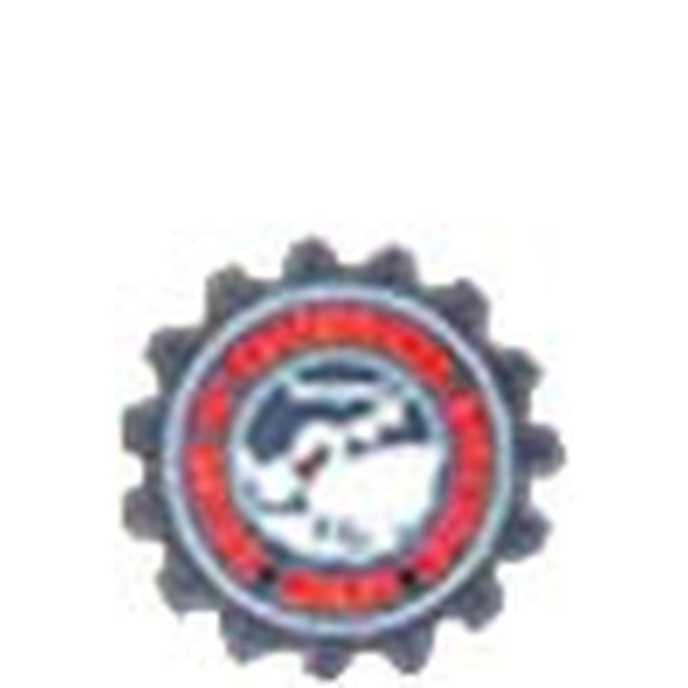 R.D. College of Education (RDCE) - Logo