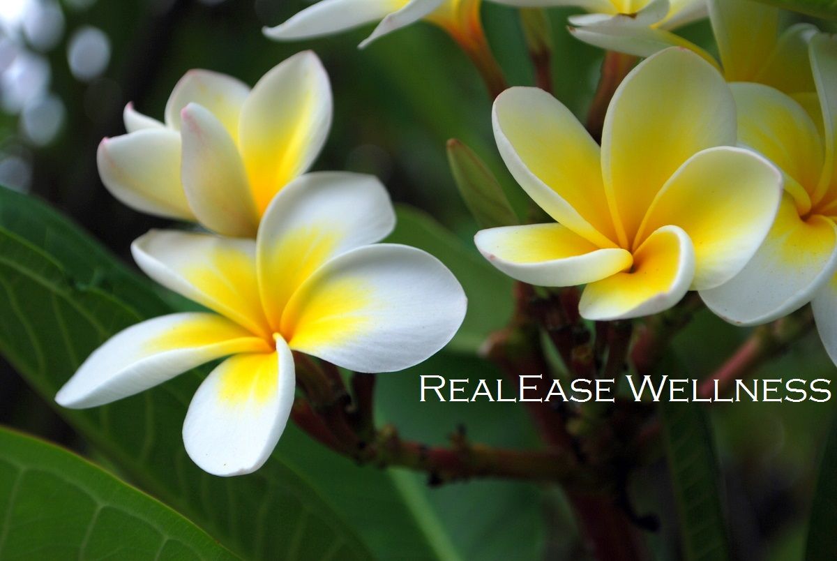 RealEase Wellness Inc. - Logo