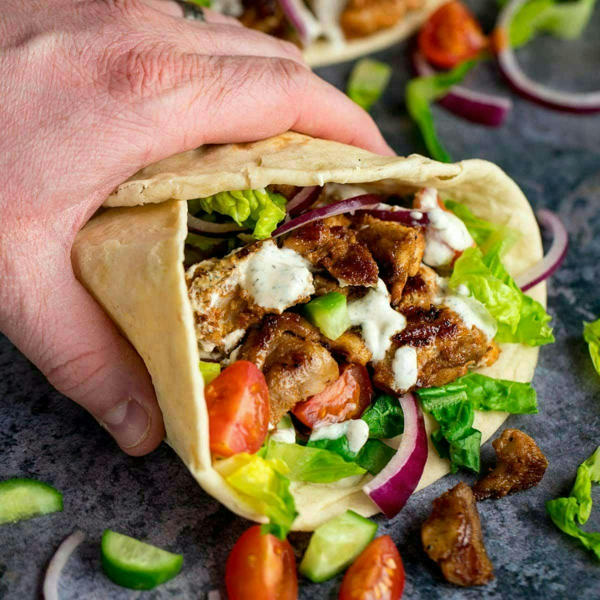 RED CHICORY-Shawarma Crest - Logo