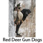 Red Deer Gun Dogs - Logo