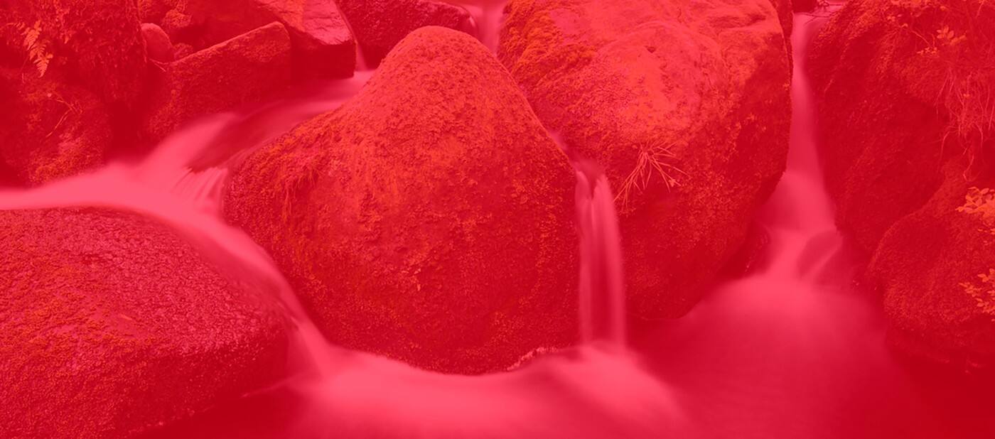 RedFrog Bookkeeping - Cover photo