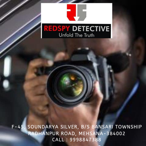 Redspy Detective - Cover photo