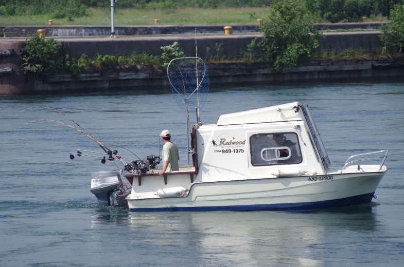 Redwood Sportfishing Charters - Logo