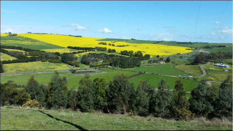 Reef Catchments - Cover photo