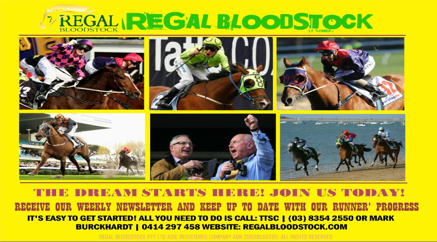 Regal Bloodstock Pty Ltd - Cover photo