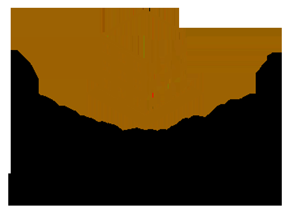 Regan Building &a; Developing Ltd - Logo