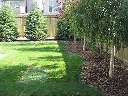Regions Renovations and Landscaping Ltd. - Logo
