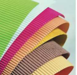 Rekha Print N Pack 176076 - Logo