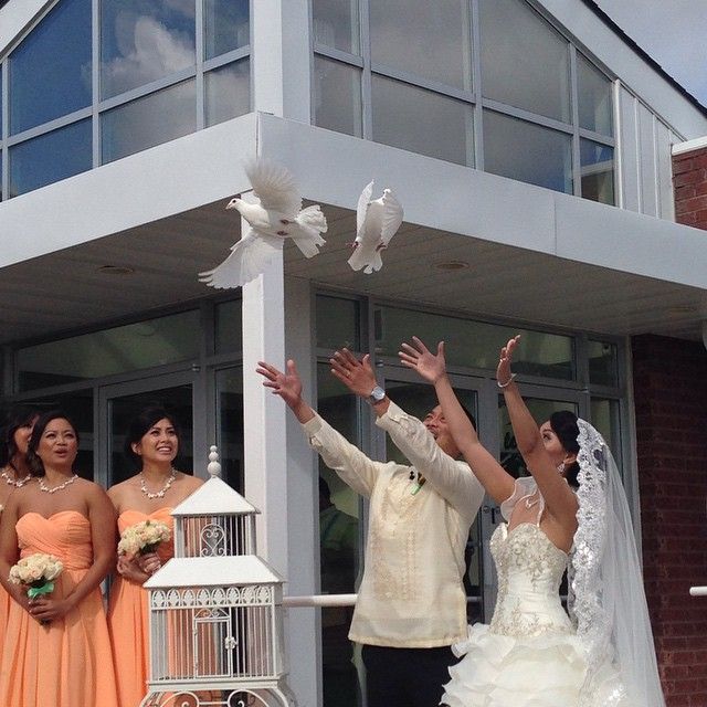 Release A Dove - Cover photo