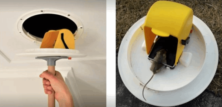 Rentokil PCI Pest Control Service - Cover photo