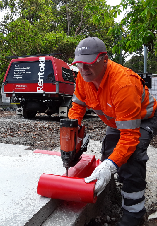 Rentokil Pest Control Canberra - Logo