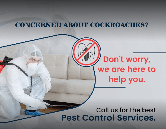 Rentokil PCI Pest Control Service - Cover photo