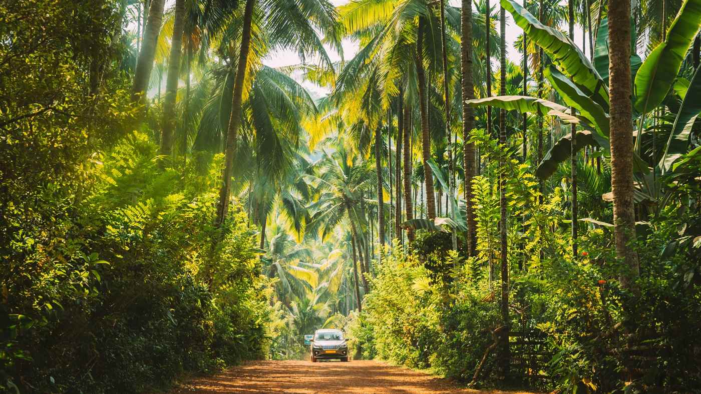 Rentrip Car Rentals Bangalore - Cover photo