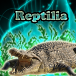 Reptilia - Logo