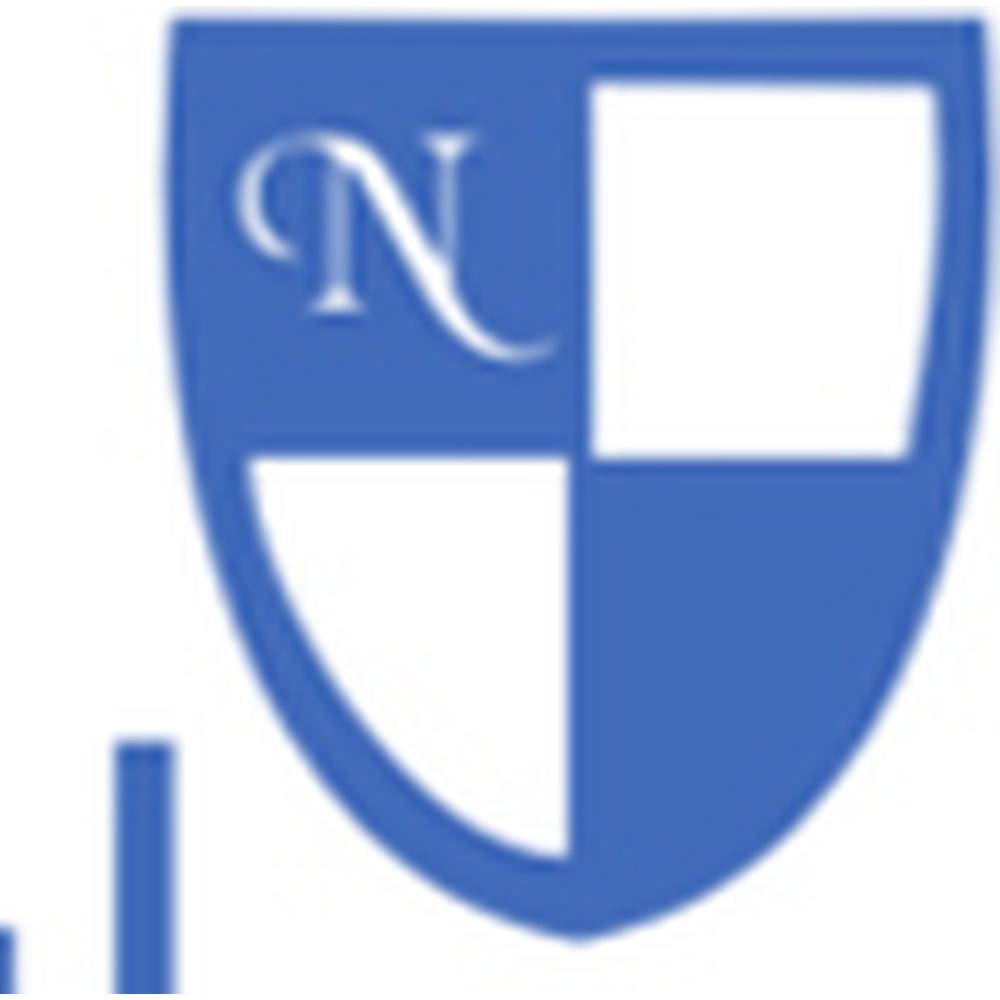 Rev.Noorunnissa Group of Institutions (RNGI) - Logo