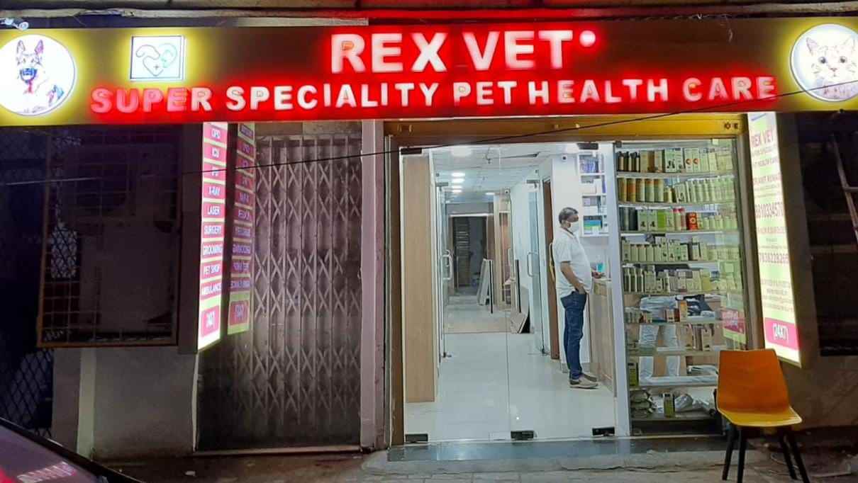 Rex Vet - Cover photo