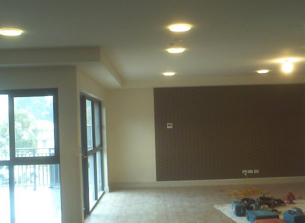 Ribalkin & Wang Plaster Pty Ltd - Logo