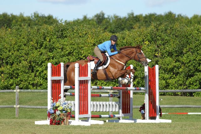 Ridge View Equestrian Center - Cover photo