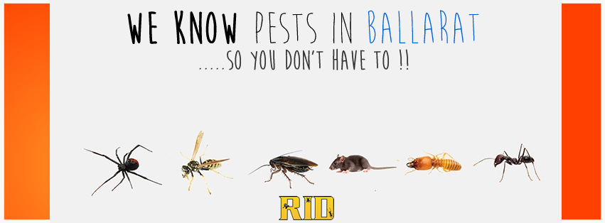 RID Pest Control - Logo